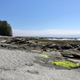 Illustration for article titled Pics from the (Ocean Floor): 2018-05-05 at Botanical Beach